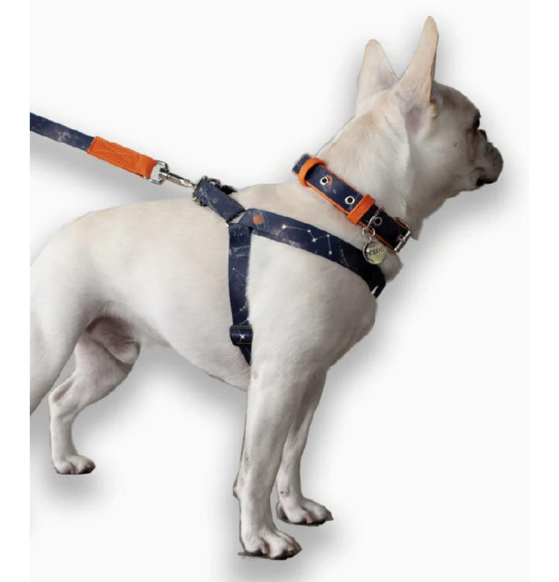 Navy Astral Harness